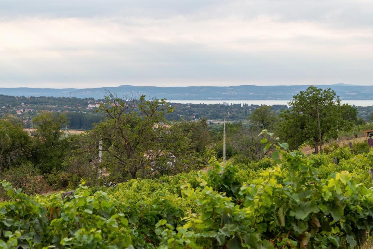Villa D.Five Vineyard & Retreat Koroeshegy Esterno foto